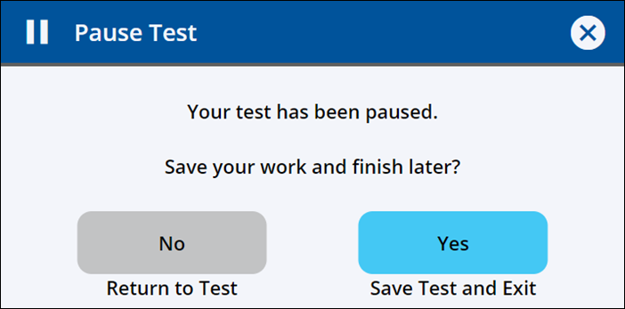 An image of the pause test screen 